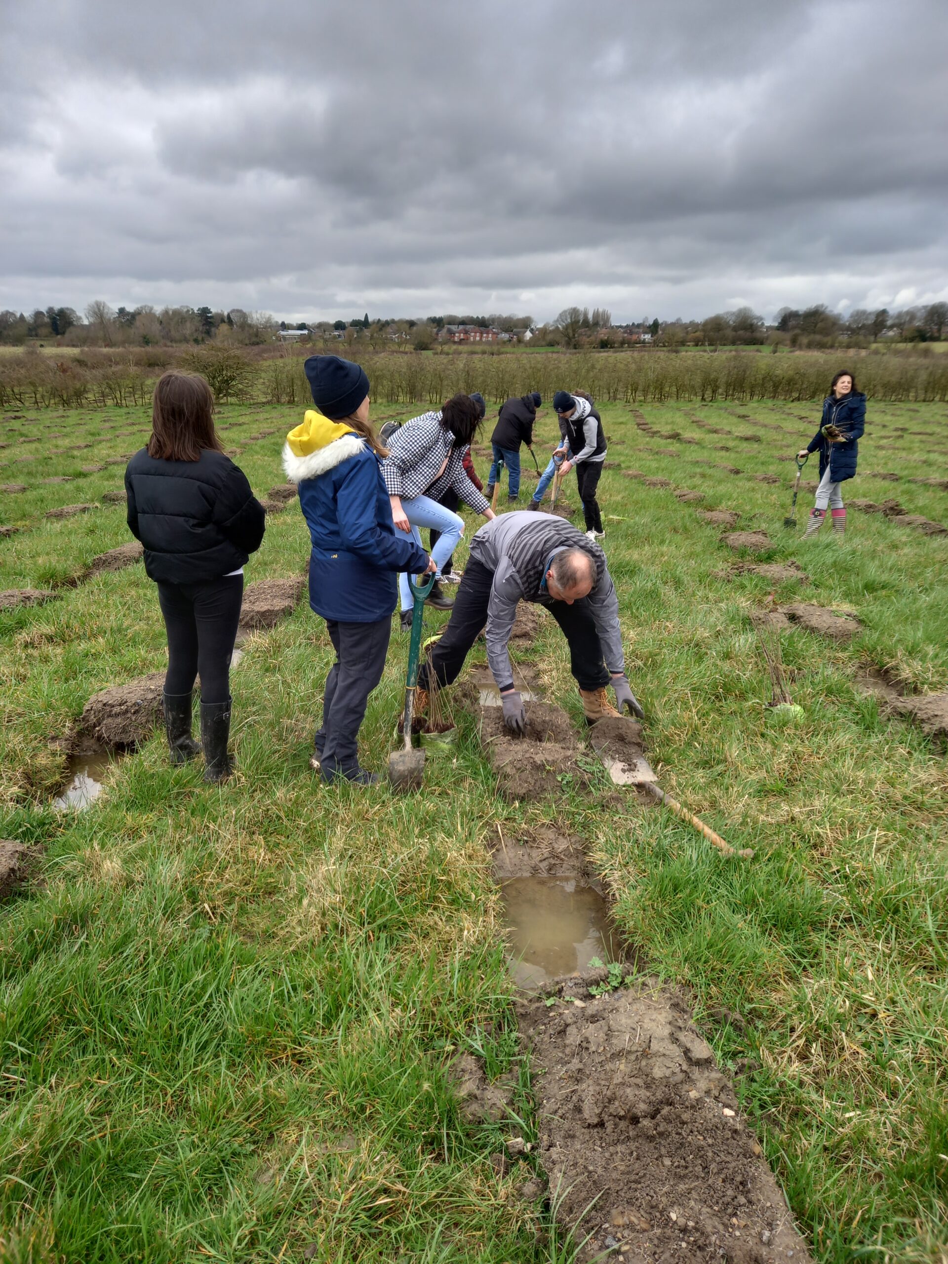 Tree planting, derby - NT Voice & Data