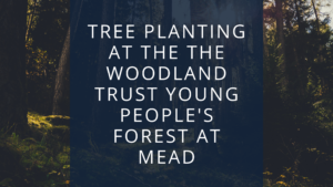Tree Planting, Woodland Trust, NT Voice & Data