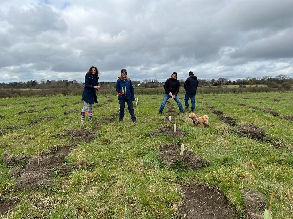Tree planting, derby - NT Voice & Data