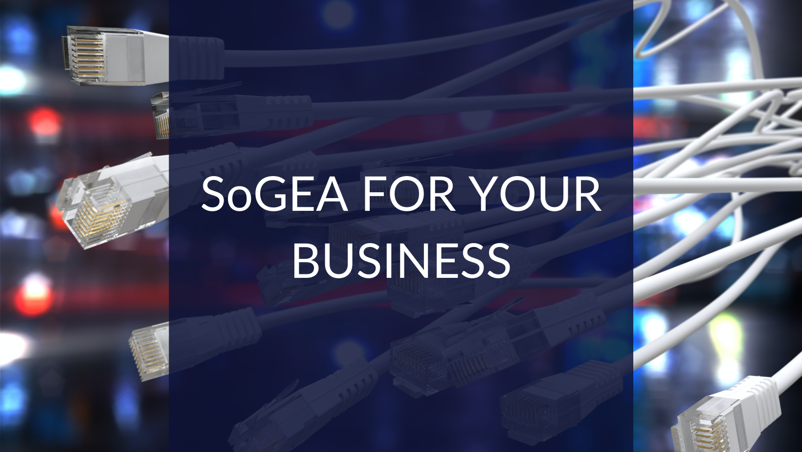 SoGEA for Your Business