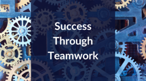 Success Through Teamwork: NT Blog